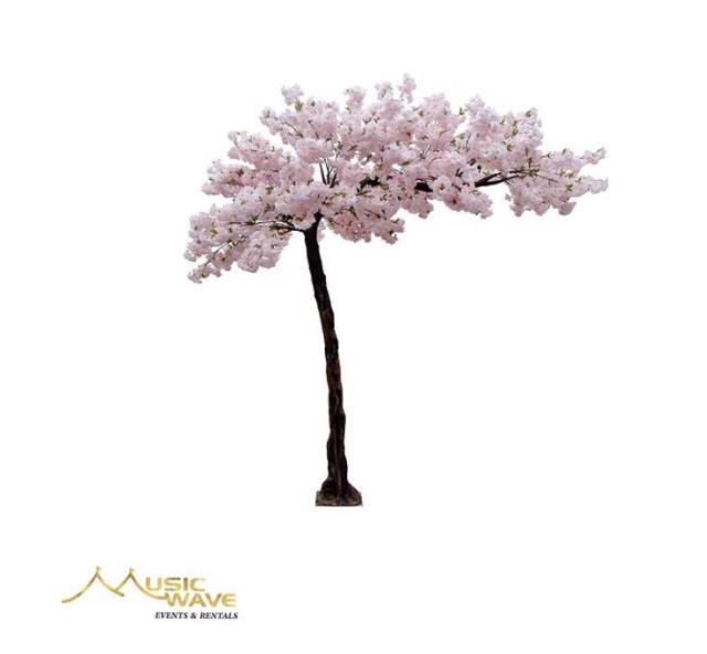 Rental store for Tree - Blossom Light Pink 9   Large in San Juan PR