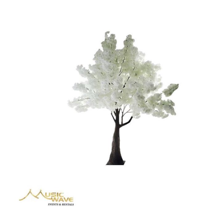 Rental store for Tree - Blossom White  Small, 6x5 in San Juan PR