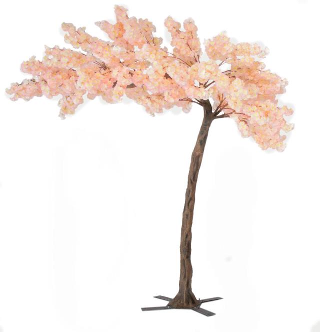 Rental store for Tree - Blossom Peach  Large, 9x7 in San Juan PR