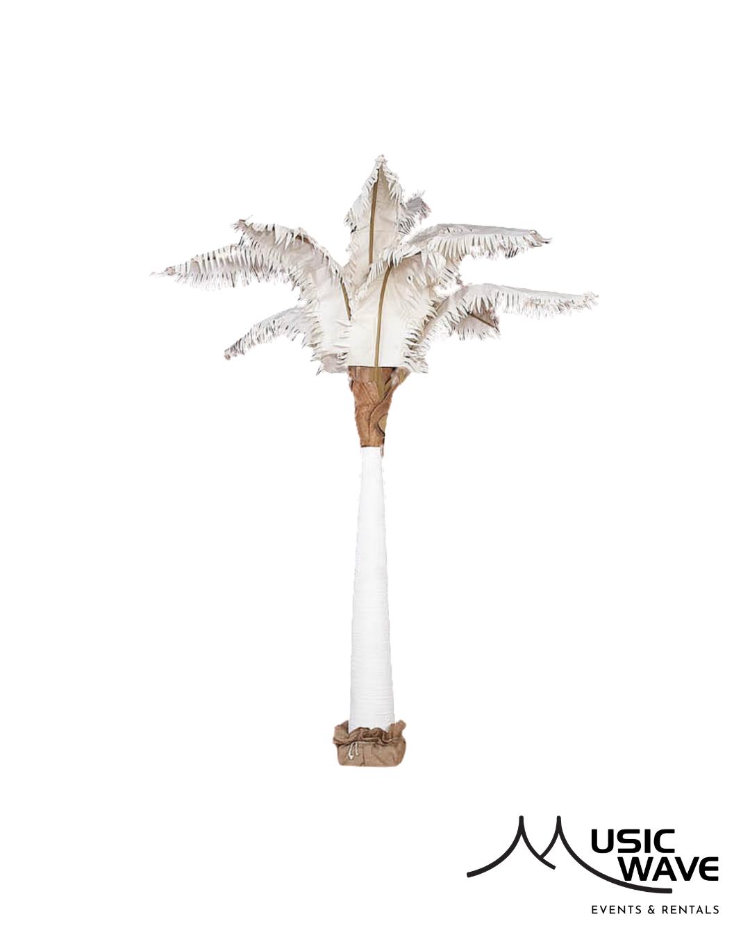 Rental store for Palm - Canvas 12   Tall in San Juan PR