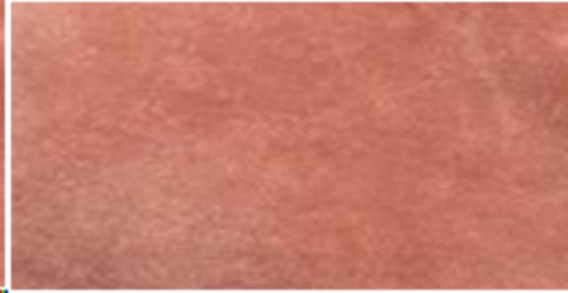 Rental store for Seat Cushion - Leonardo  Blush in San Juan PR
