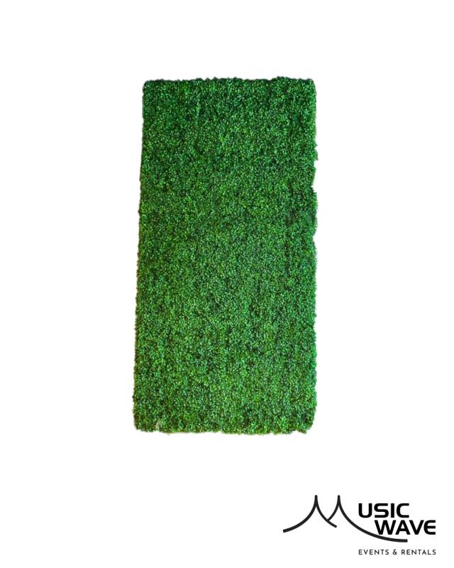 Rental store for Wall - Grass 8Hx4W in San Juan PR