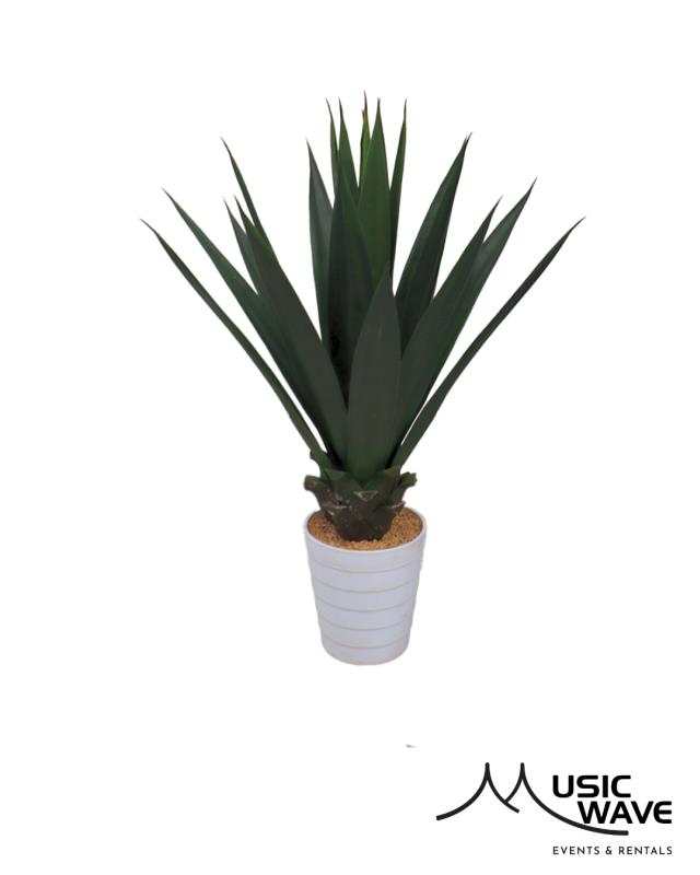 Rental store for Palm - Agave Palm  8980 in San Juan PR