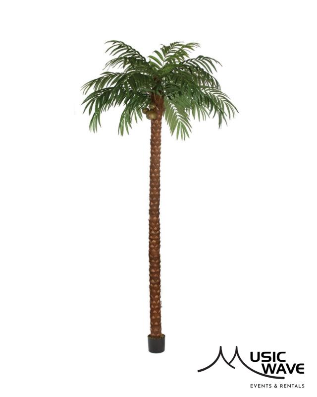 Rental store for Palm - Arizona 15   9674 in San Juan PR