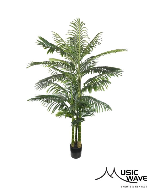 Rental store for Palm - Phoenix 7 in San Juan PR