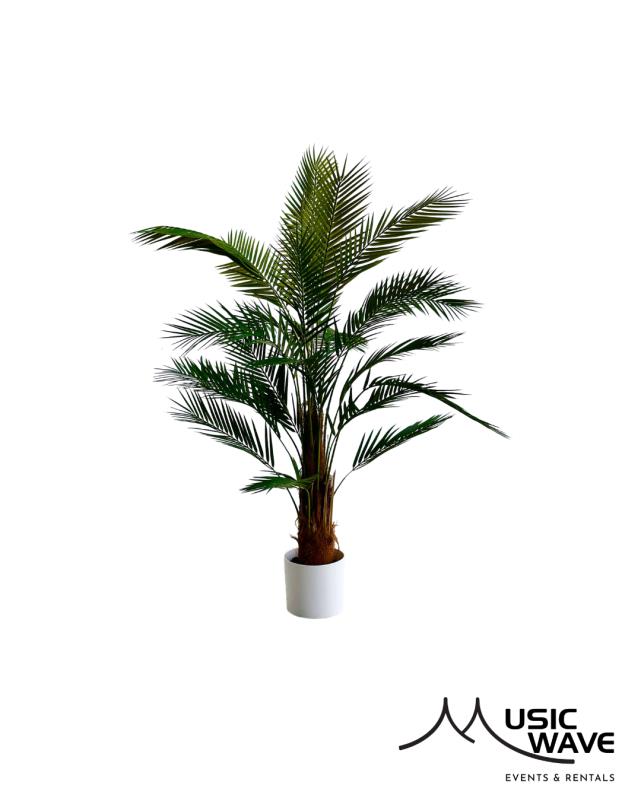 Rental store for Palm - Sedona 5 in San Juan PR